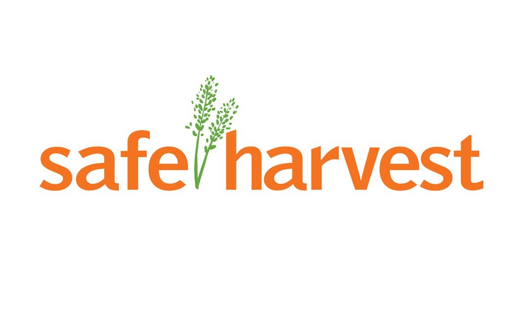 Safe Harvest Turmeric Powder    Pack  1 kilogram